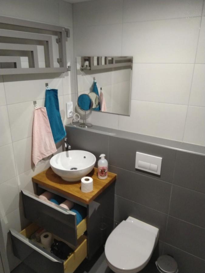 דירות ורוצלב Apartament Zielona Wierzba Blisko Sky Tower מראה חיצוני תמונה